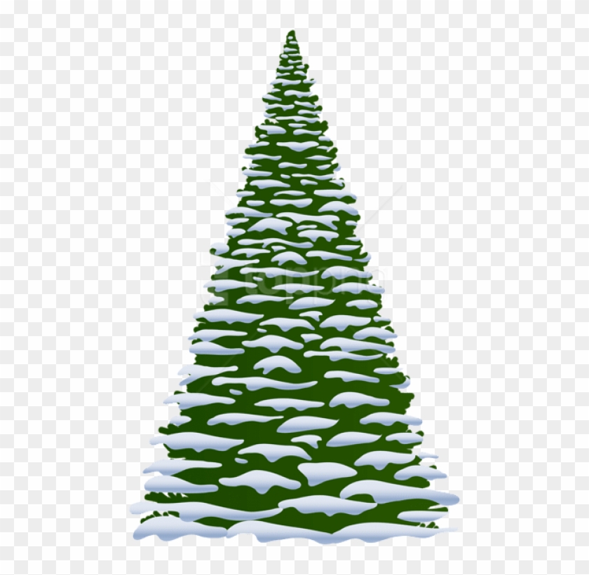 Free Png Winter Pine Tree Transparent Png - Winter Pine Tree Clipart #1349513