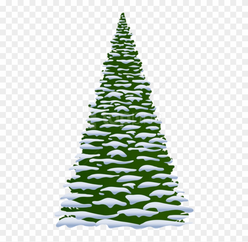 Free Png Winter Pine Tree Transparent Png - Winter Pine Tree Clipart