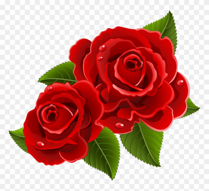 Rose Png - Beautiful Red Rose Flowers Clipart #1349516