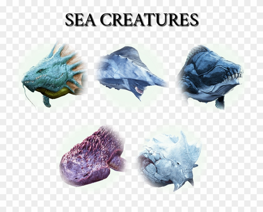 Criaturas Que Vão Aparecer Na Nova Expansão De Black - Black Desert Margoria Clipart