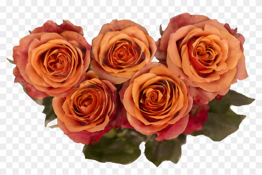 Watercolor Royalty Free Roses Png - Garden Roses Clipart