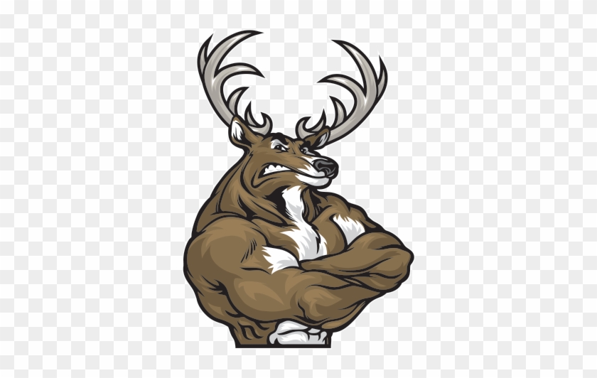 Cartoon Muscle Deer Clipart #1351912