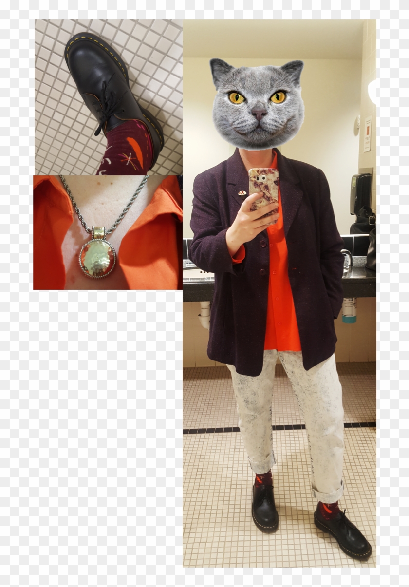 Come - British Shorthair Clipart #1351940