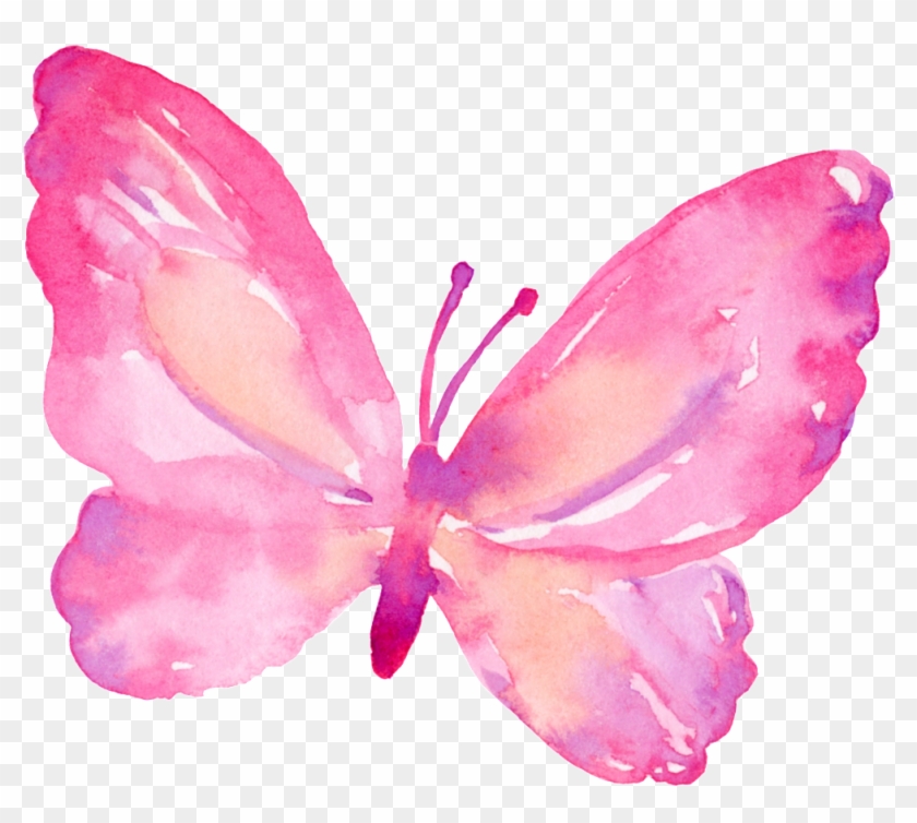 Pink Butterfly Transparent Clipart #1353178