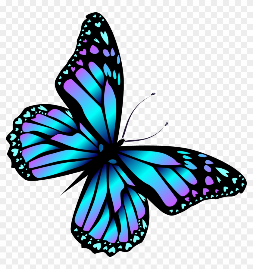Image Result For Cartoon Bugs And Butterflies Butterfly - Desenho De Uma Borboleta Clipart