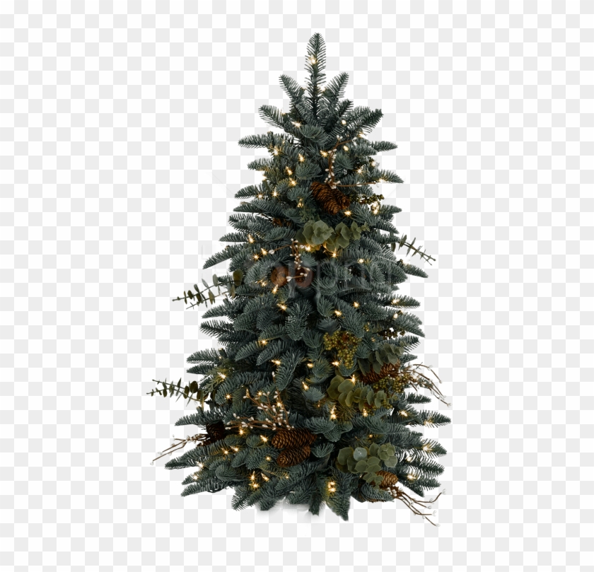Chrístmas Tree Png Clipart