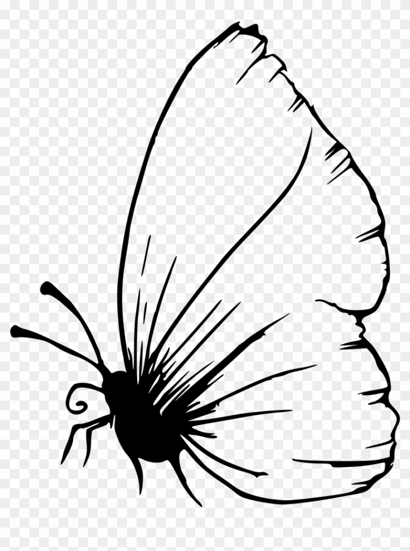 Brush-footed Butterfly Clipart #1354848