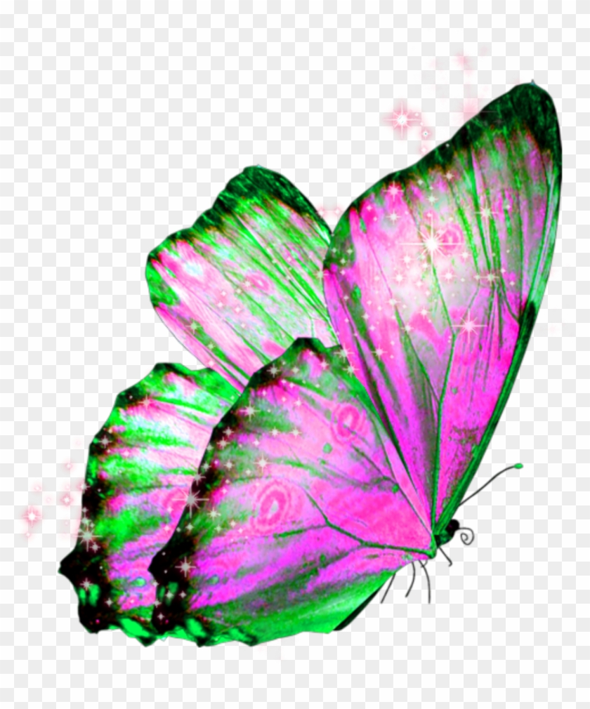 #butterfly #wings #butterflywings #fairy - Transparent Background Butterfly Pics Png Clipart #1354908