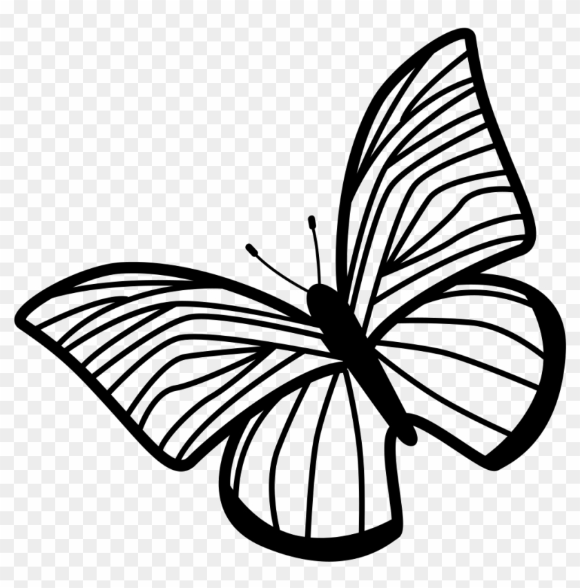 Butterfly Of Thin Striped Wings Rotated To Left Comments - Draw The Hands Of The Clock Clipart #1354965