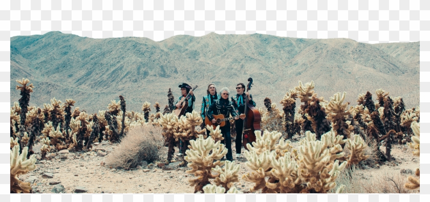 Grammy Award-winning Americana Legend Marty Stuart - Jumping Cholla Clipart #1355130