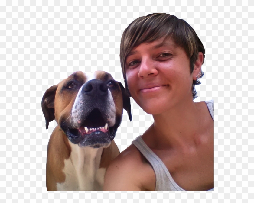 Joyful Pet Care Is An Insured And Bonded, Kennel/cage - Companion Dog Clipart