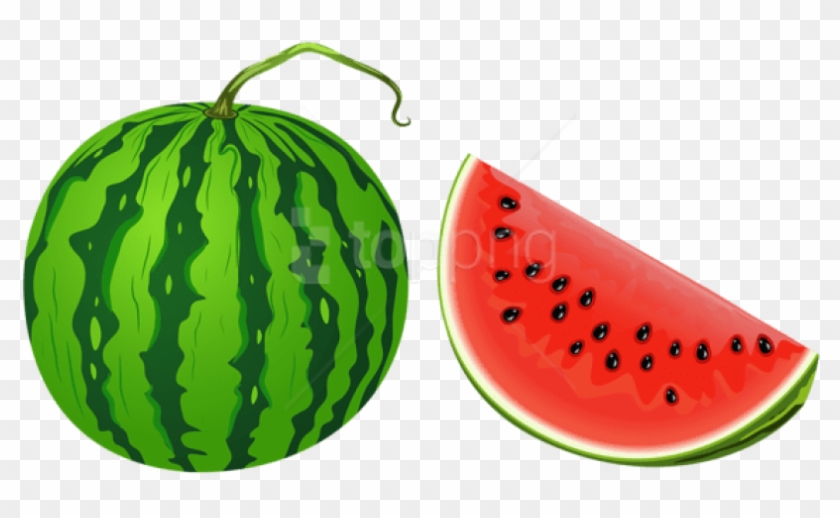 Free Png Watermelon Png Vector Png - Watermelon Clipart Transparent Png@pikpng.com