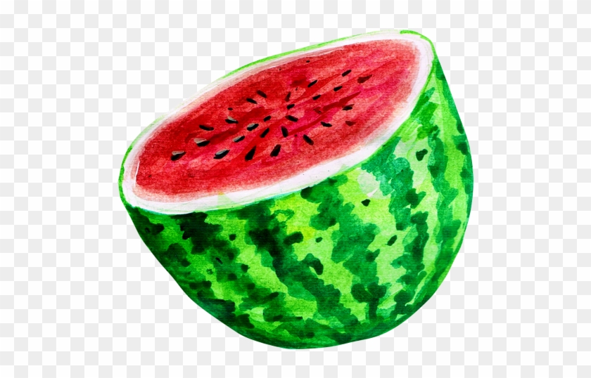 Watermelon Clipart