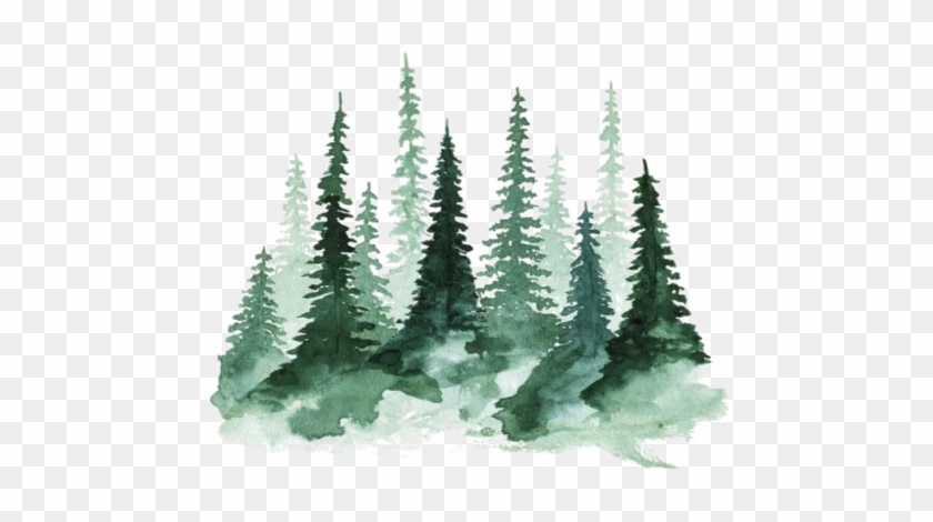 Freetoedit Watercolor Tree Green Forrest - Watercolor Pine Tree Png Clipart #1357309