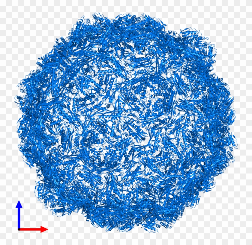 <div Class='caption-body'>pdb Entry 2e0z Contains 180 - Illustration Clipart