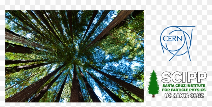 Twepp 2017 Topical Workshop On Electronics For Particle - Cern Clipart