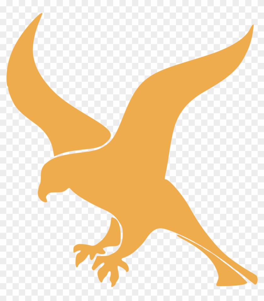 Bird Clipart Falcons - Falcon Python - Png Download #1358222