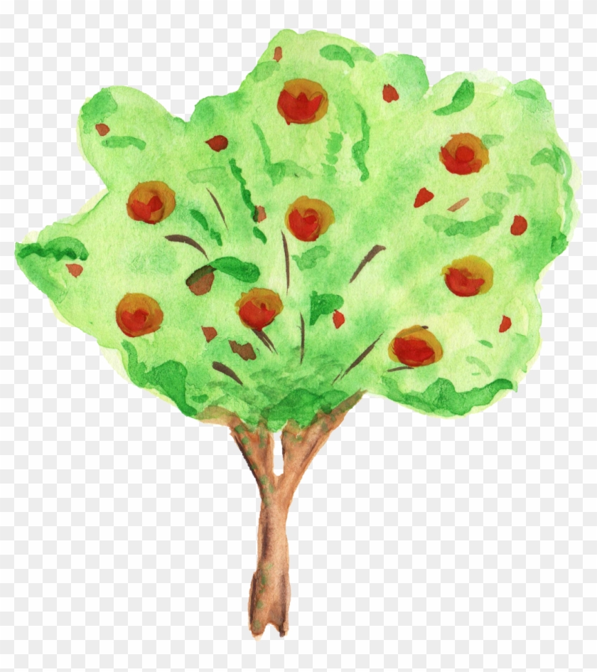 Maidenhair Tree Clipart