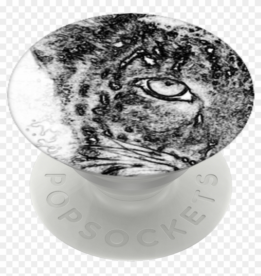 Cats Eyes, Popsockets - Owl Clipart #1358577