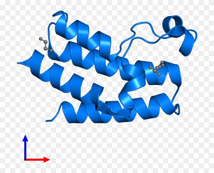 <div Class='caption-body'>pdb Entry 3nxb Contains 1 Clipart #1358804