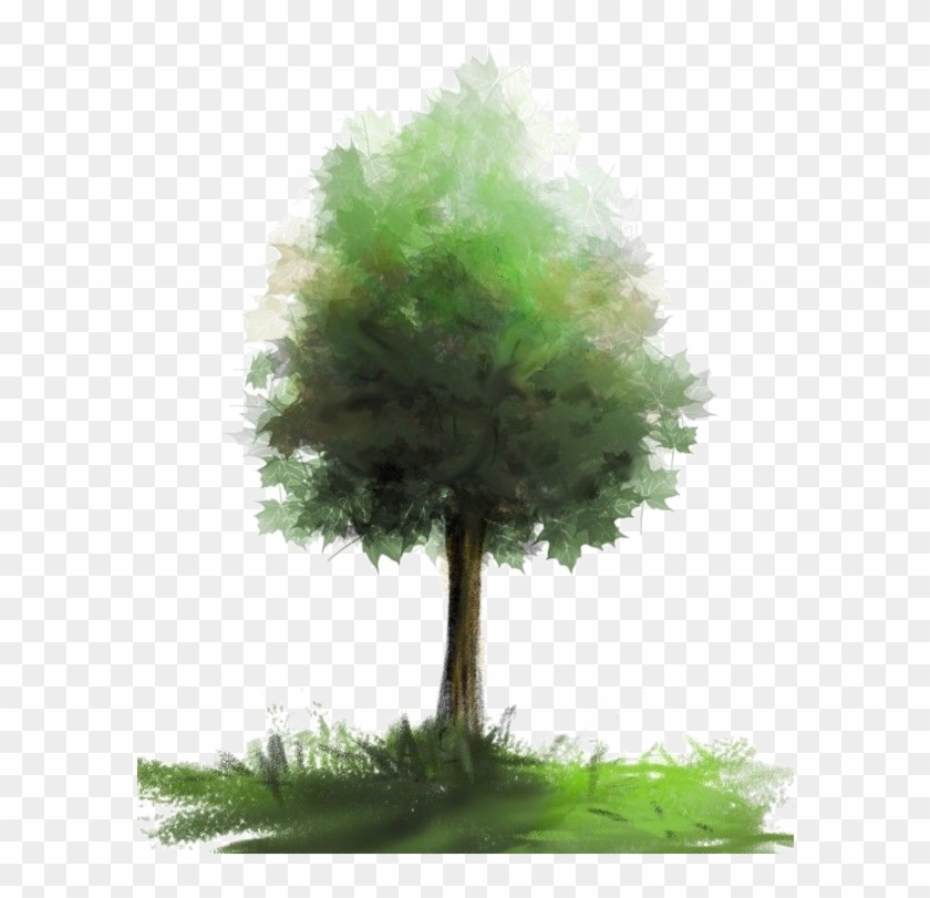 Arbre Tubes Dessin Paysager Pinterest Architecture - Foret Arbre Aquarelle Png Clipart