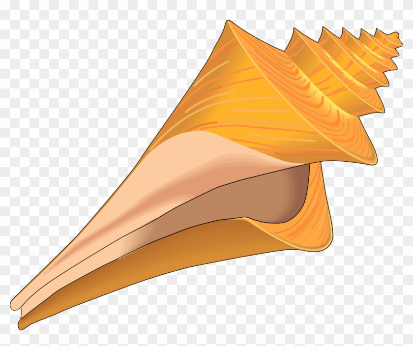 Clip Art Seashells - Clip Art Shells Free - Png Download