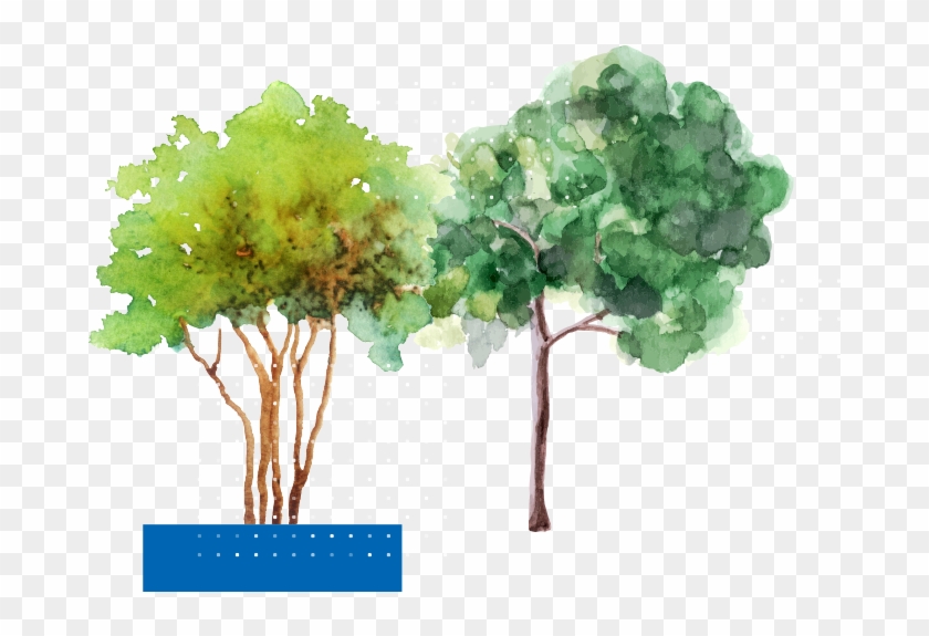 Our Study Tours Program Offers Groups Of Overseas Students - Vector Graphics Clipart