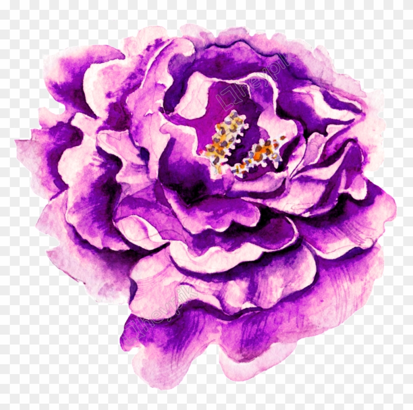 A Transparent Png Free Download - Purple Floral Water Color Clipart #1359262
