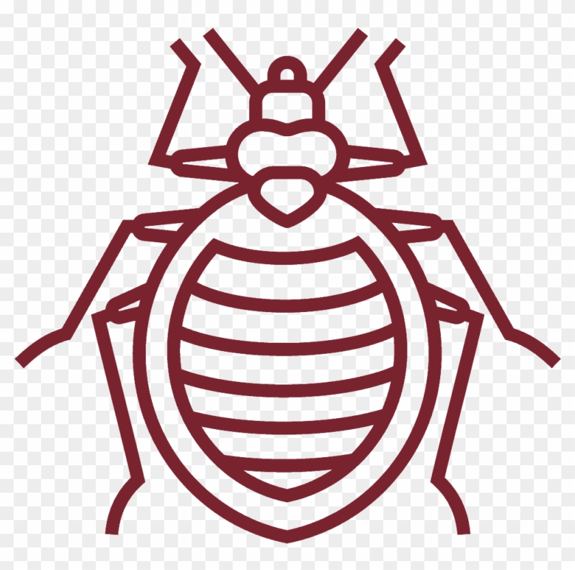 Crawling Pest Collection - Bed Bug Vector Clipart #1359330