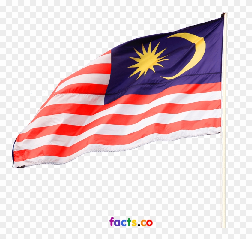 Malaysia Flag - Malaysian Flag No Background Clipart #1359395