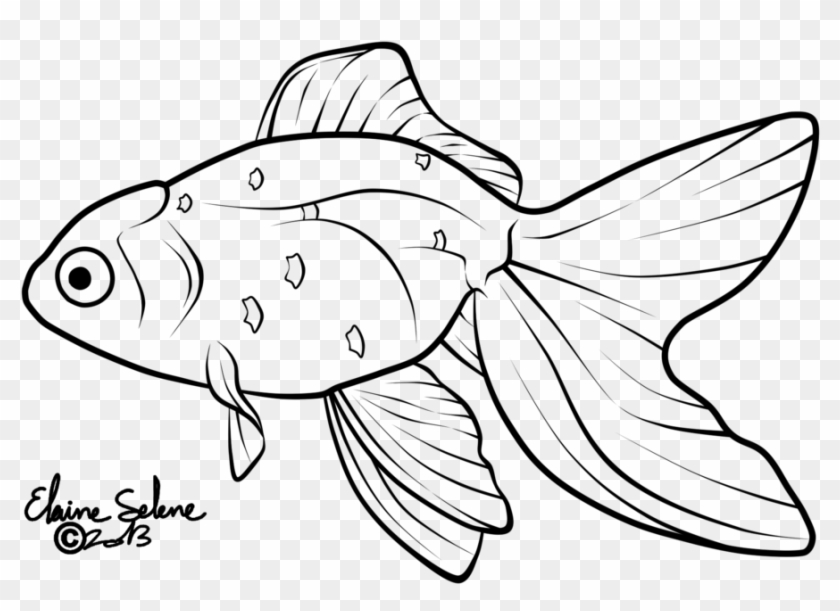 Drawn Gold Fish Line - Fish Tail Art Drawing Clipart