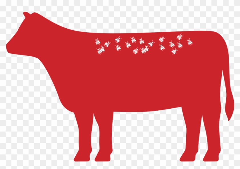 Image Image - Bull Clipart #1359584