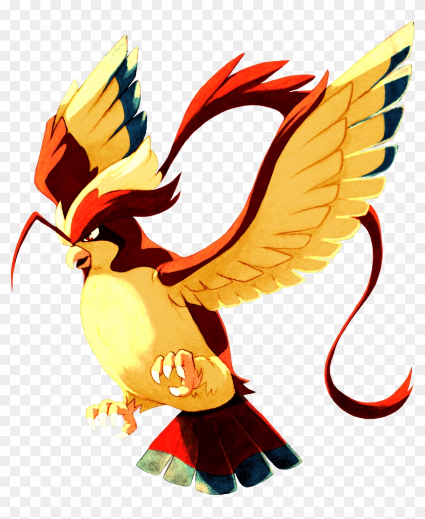 Drew Mega Pidgeot In My Sketchbook Earlier Then Colored - Pidgeot Clipart