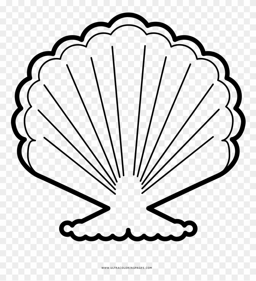 Concha Do Mar Desenho Para Colorir Ultra Clipart