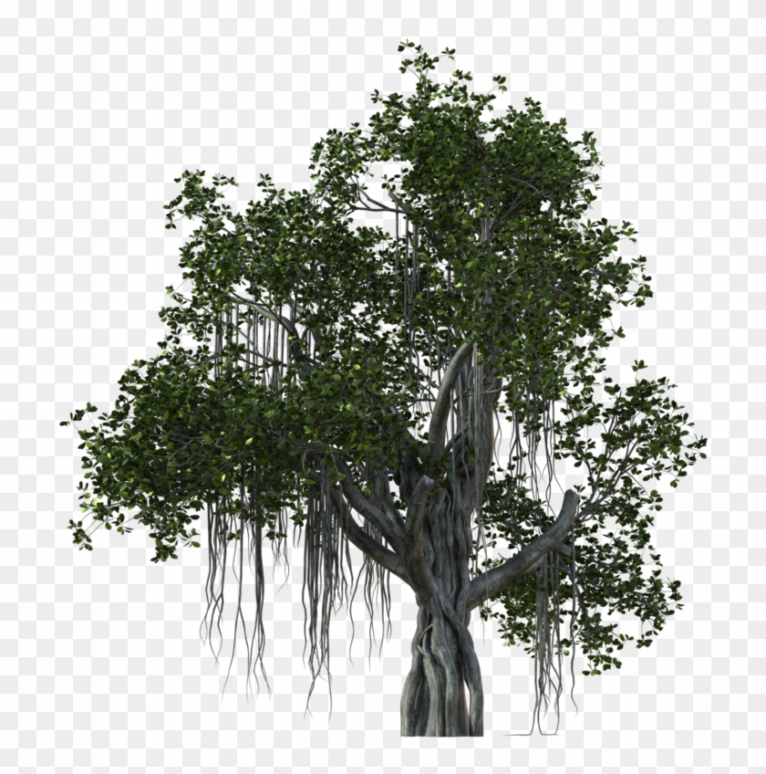 784 X 1019 9 - Wood Clipart #1360083