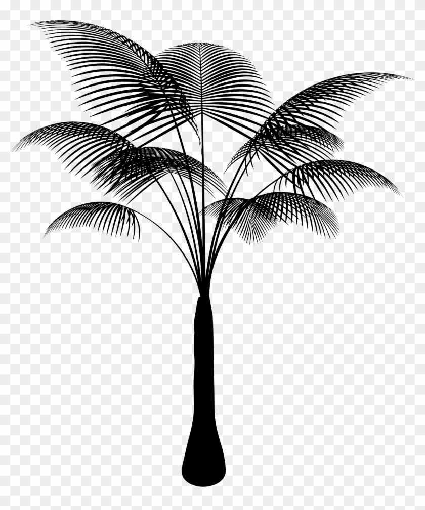 Big Image - Attalea Speciosa Clipart