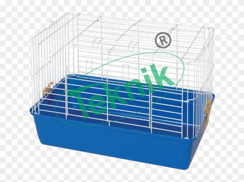 Pharmaceutical Laboratory Equipments - Small Guinea Pig Cage Clipart #1360376