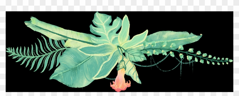 Dutchman's Pipe Clipart #1360681