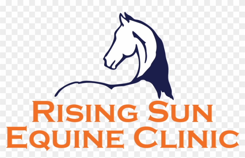Equine Acupuncture - Stallion Clipart #1360750