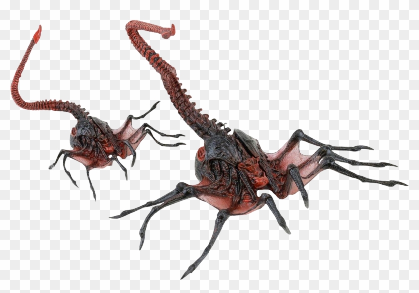 Aliens - Neca Queen Facehugger Clipart