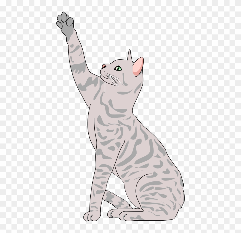 Cat Clipart - Realistic Clip Art Cat - Png Download #1361517