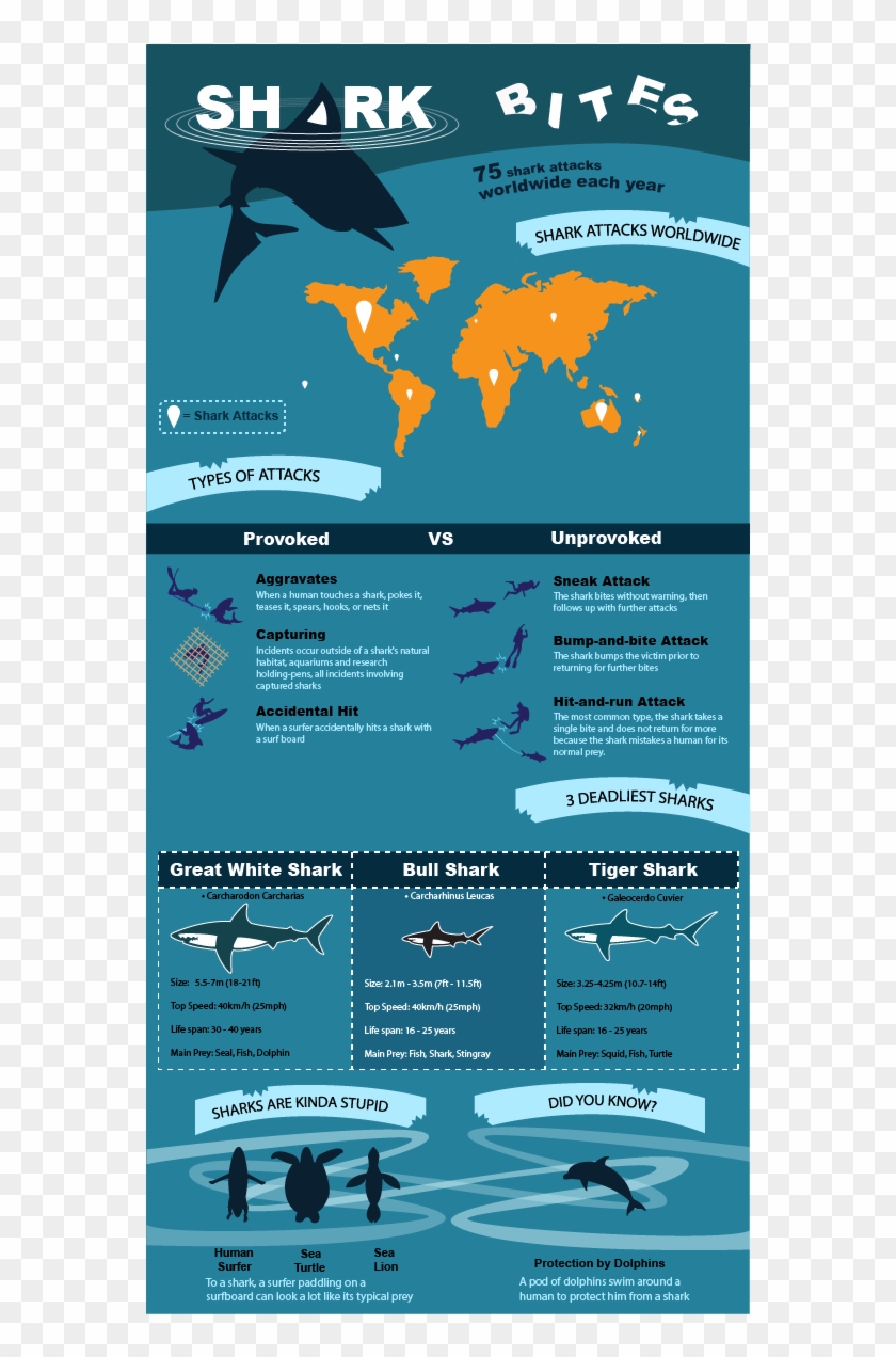 An Infographic About Shark Attacks - World Map Psd Clipart #1361800