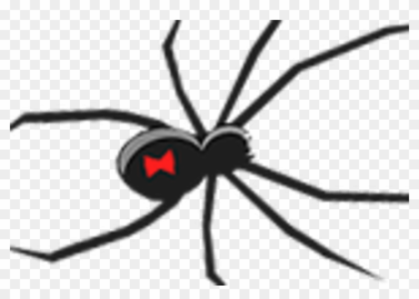 Halloween Looks - Black Widow Clip Art - Png Download