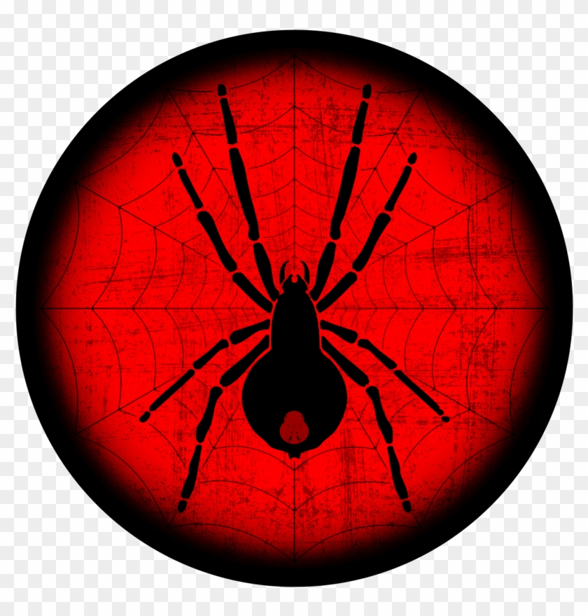 Sold - Black Widow Spider Transparent Clipart - Png Download