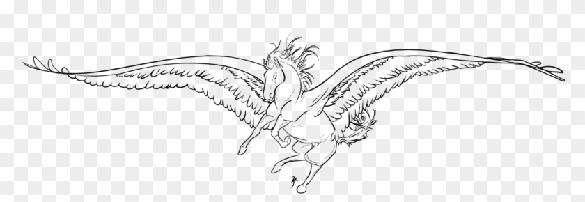 Png Library Download Albatross Drawing Feather - Sketch Clipart
