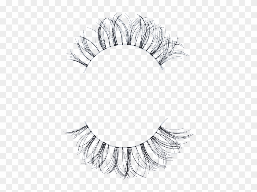 Eyebrows And Eyelashes Drawing - Sketch Clipart