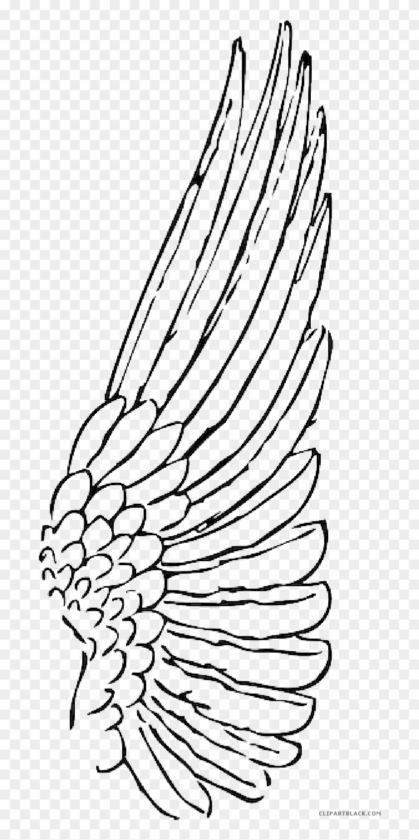 Feather Clipart Animal Feather Animal Transparent Free - Raven Wing Clip Art - Png Download