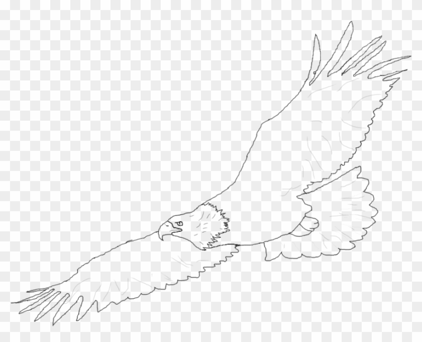 Simple Drawing At Getdrawings Com Free For - Sketch Clipart