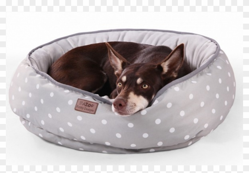 Comfort Clipart #1366771