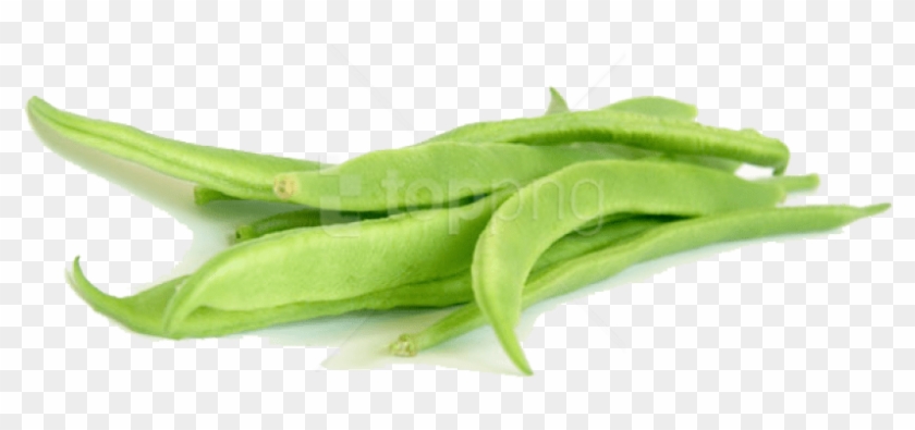 Free Png Download Green Beans Png Images Background - Bean Clipart #1367714